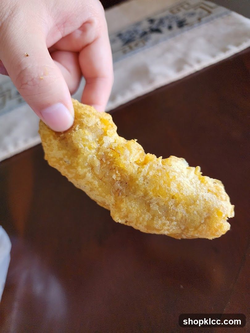 Fried Food Item
