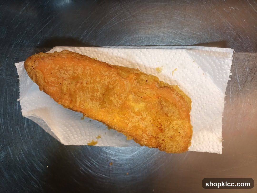 Fried Food Item