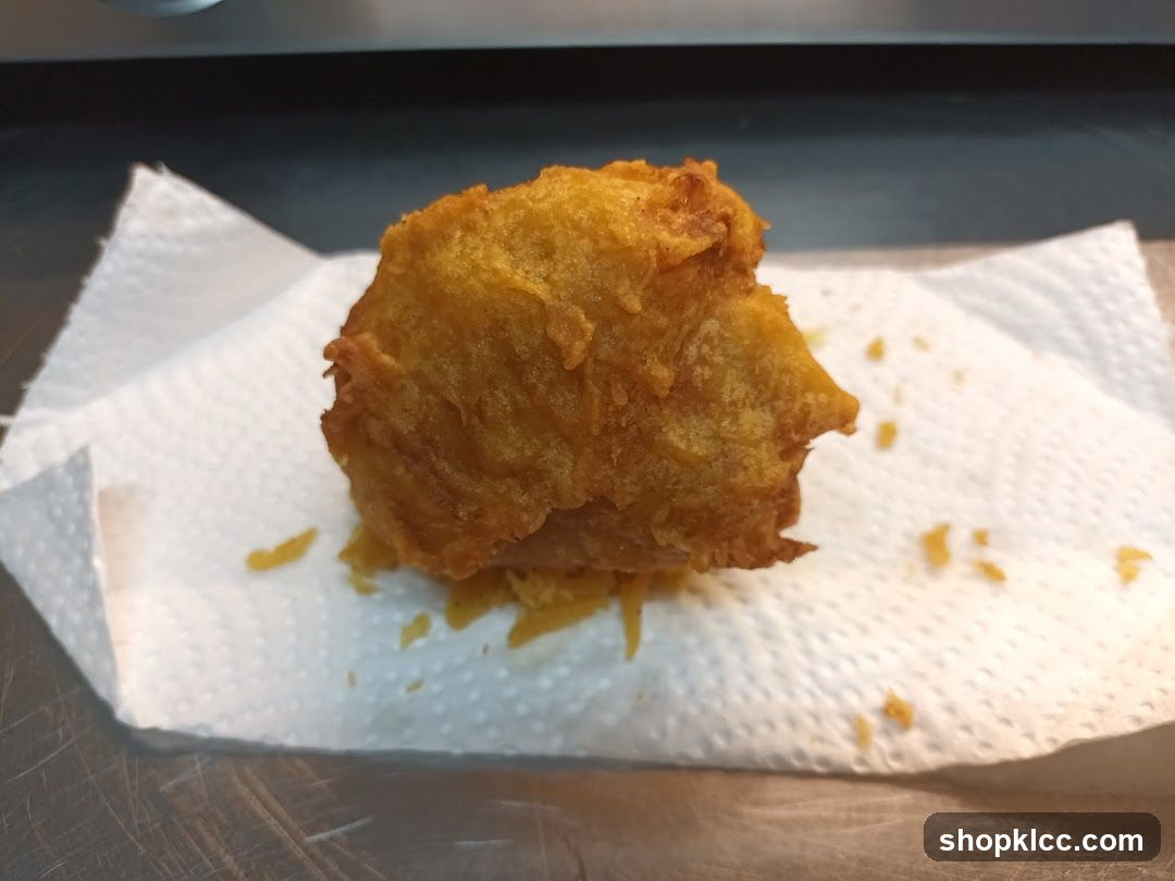 Fried Food Item