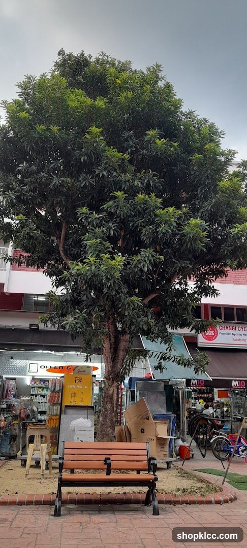 Street scene with tree and shops