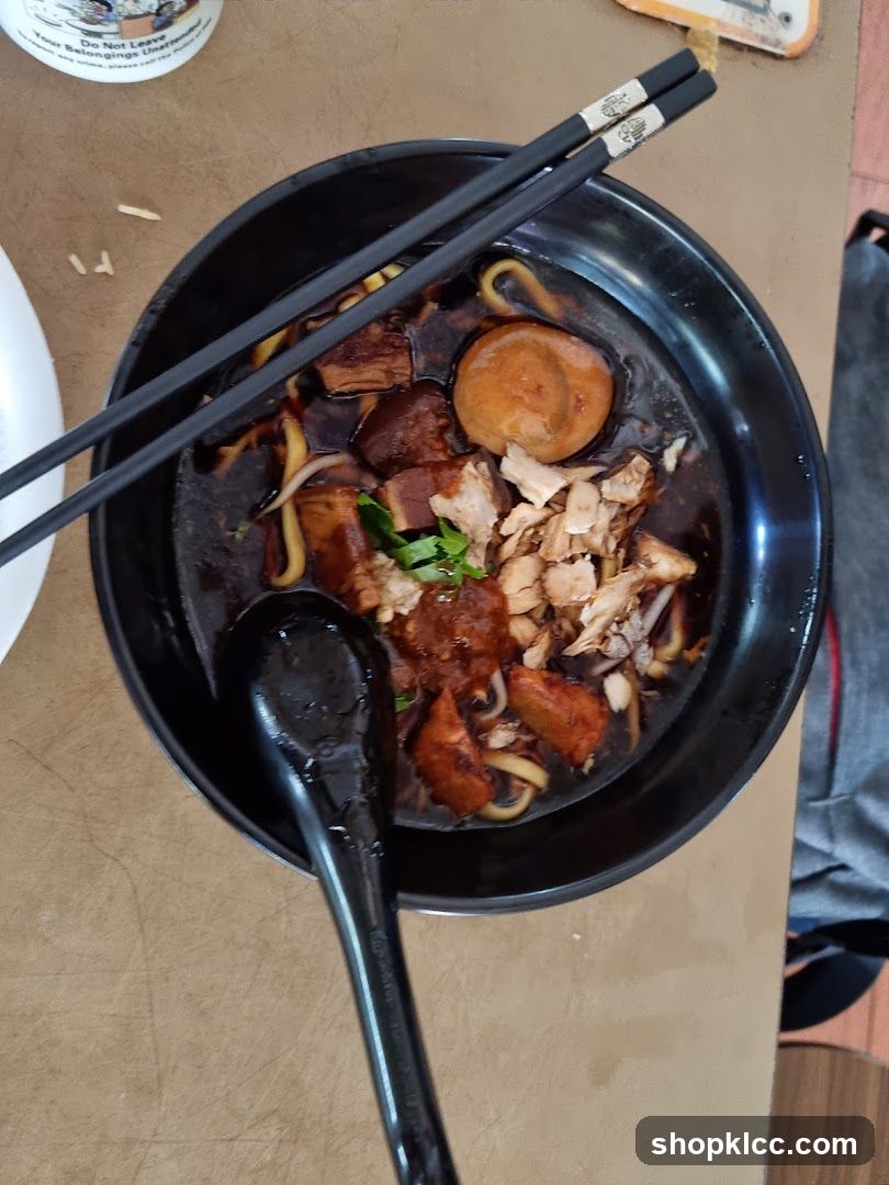 Braised Pork Noodles