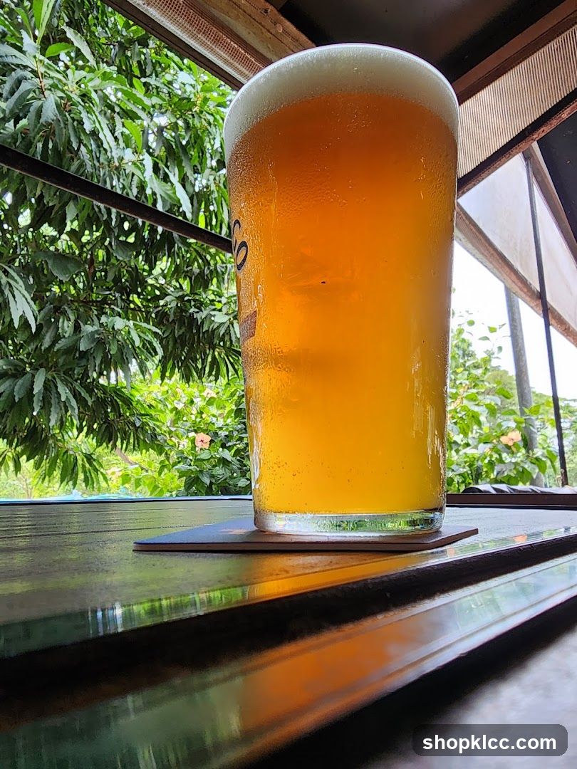 Glass of Beer