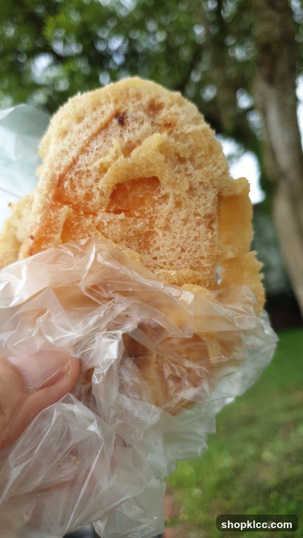 Fried Food Item