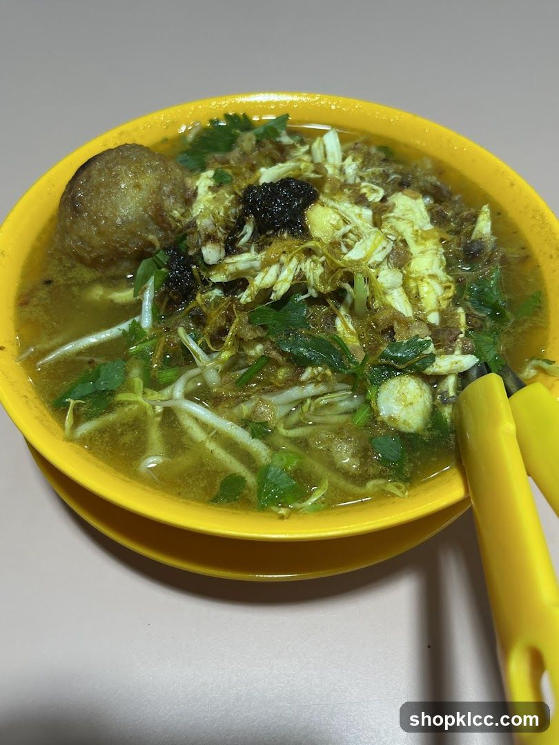 Chicken Soup with Noodles