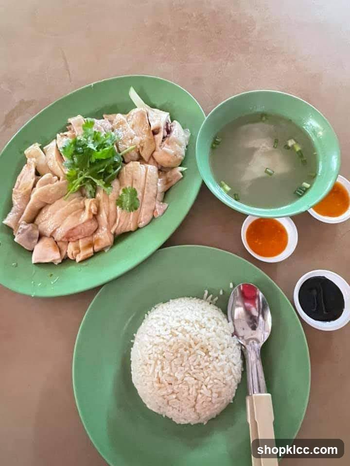 Thiam Kee Hainanese Chicken Rice • Noodles