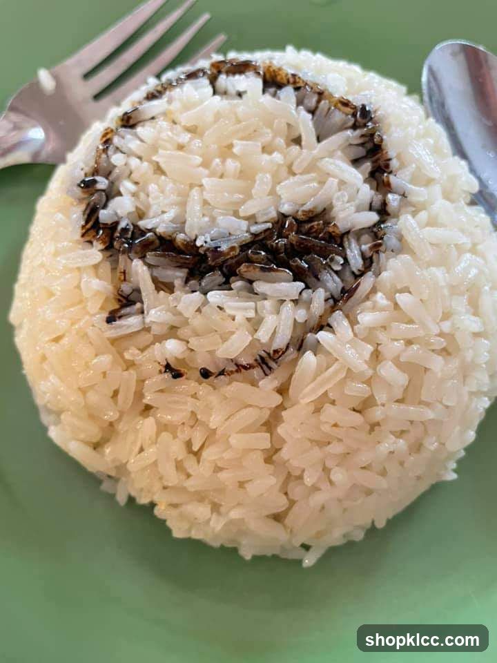 Thiam Kee Hainanese Chicken Rice • Noodles