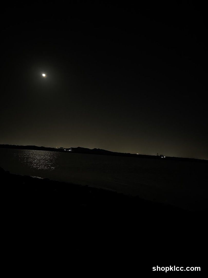 Moonlit seascape