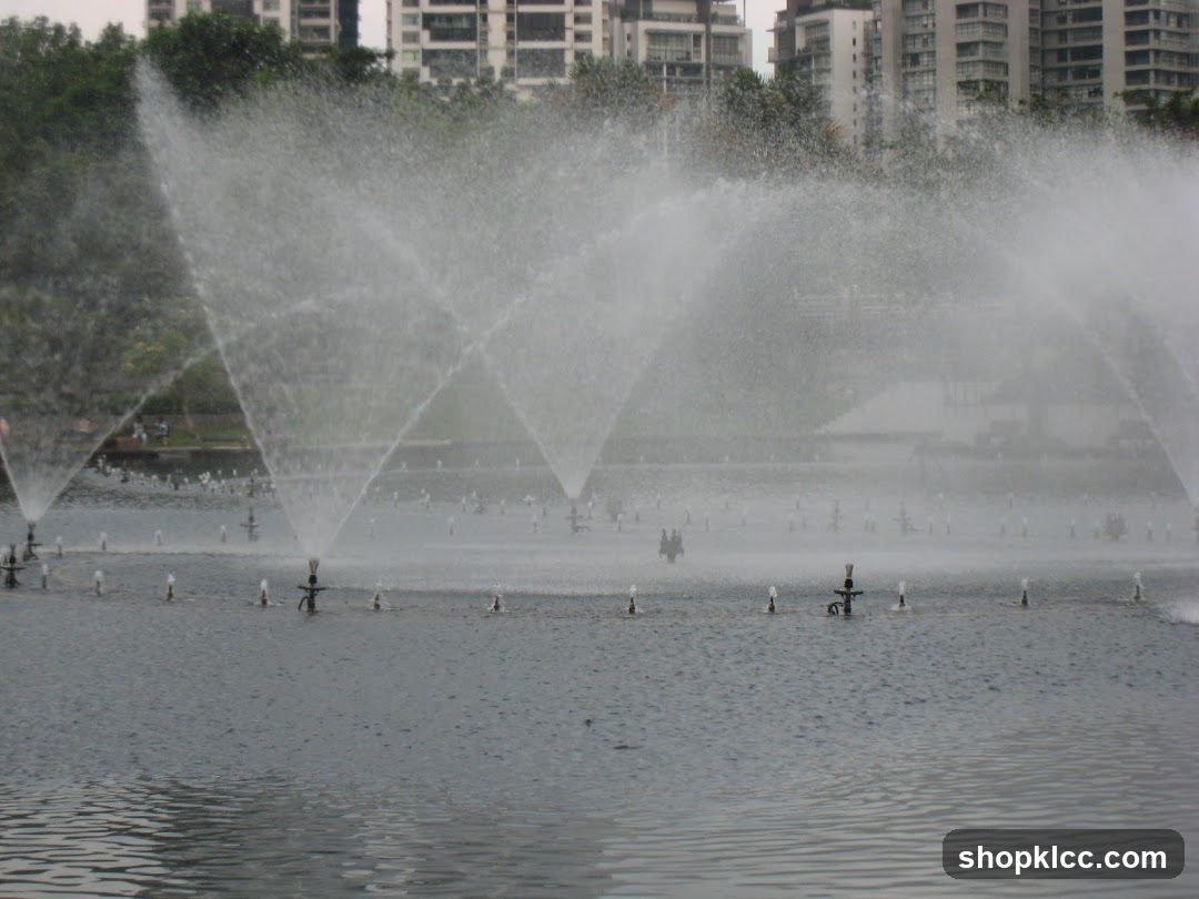 Fountain display with city buildings in the background