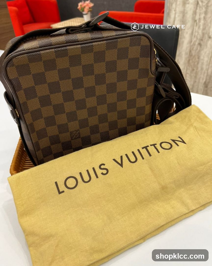 Louis Vuitton Bag