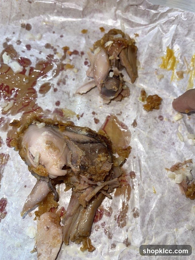Food Remains on Paper