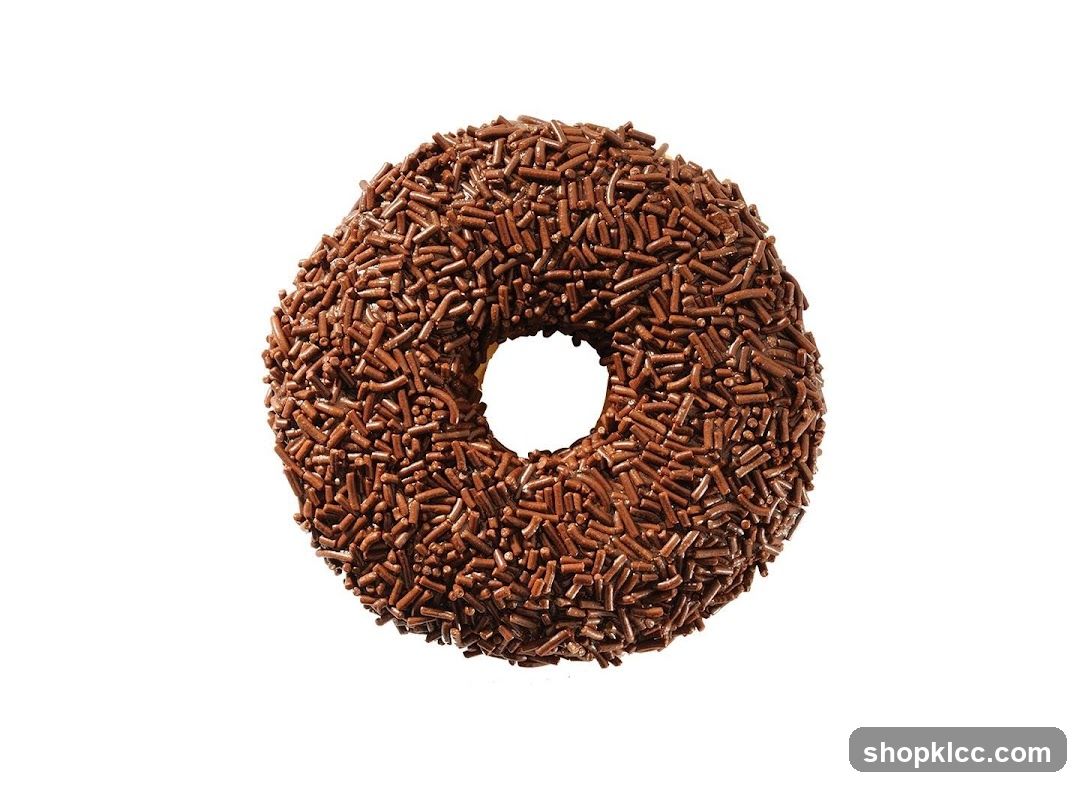 Chocolate Sprinkled Donut