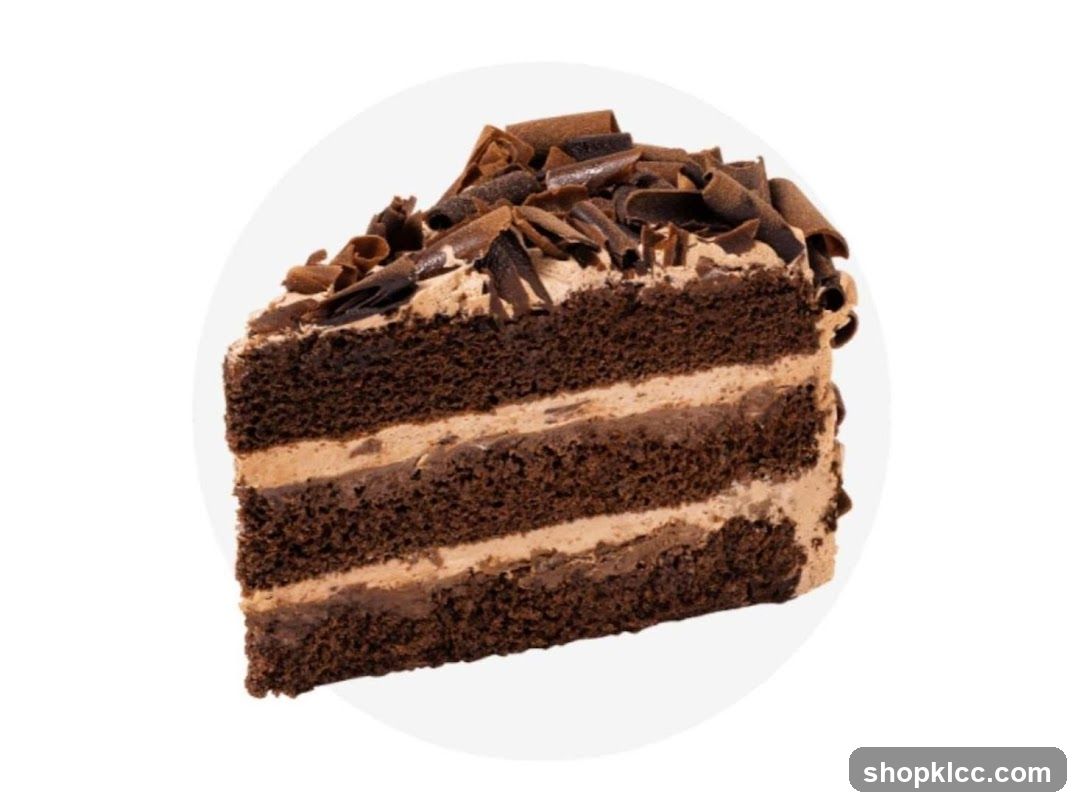 Chocolate Cake Slice