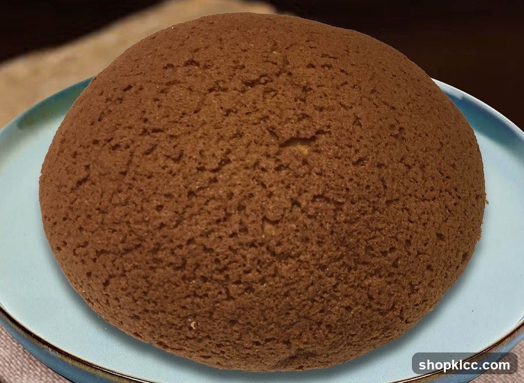 Chocolate Bun