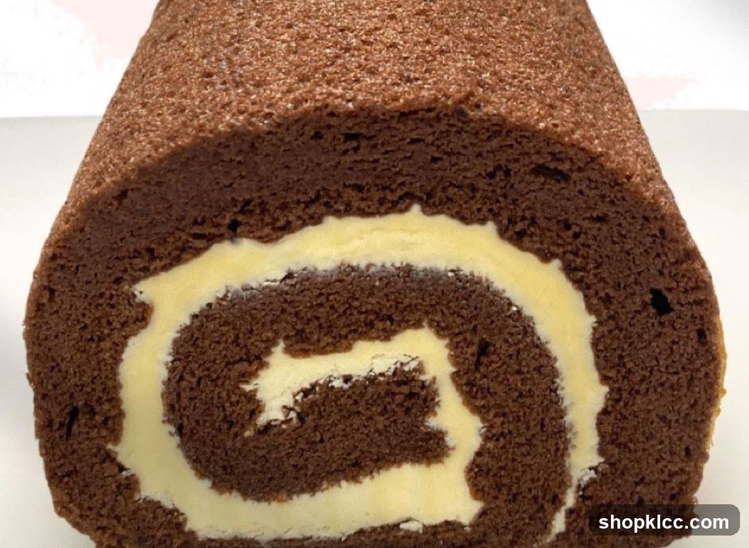 Chocolate Swiss Roll