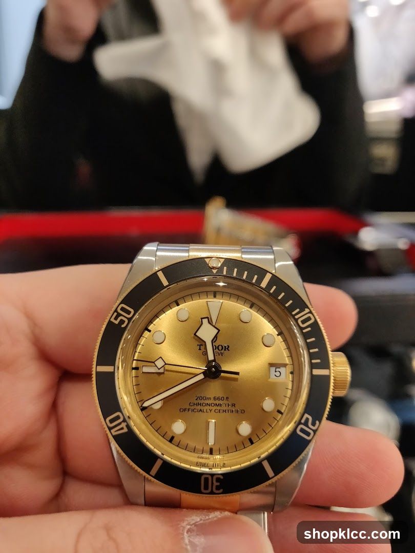 Tudor Watch