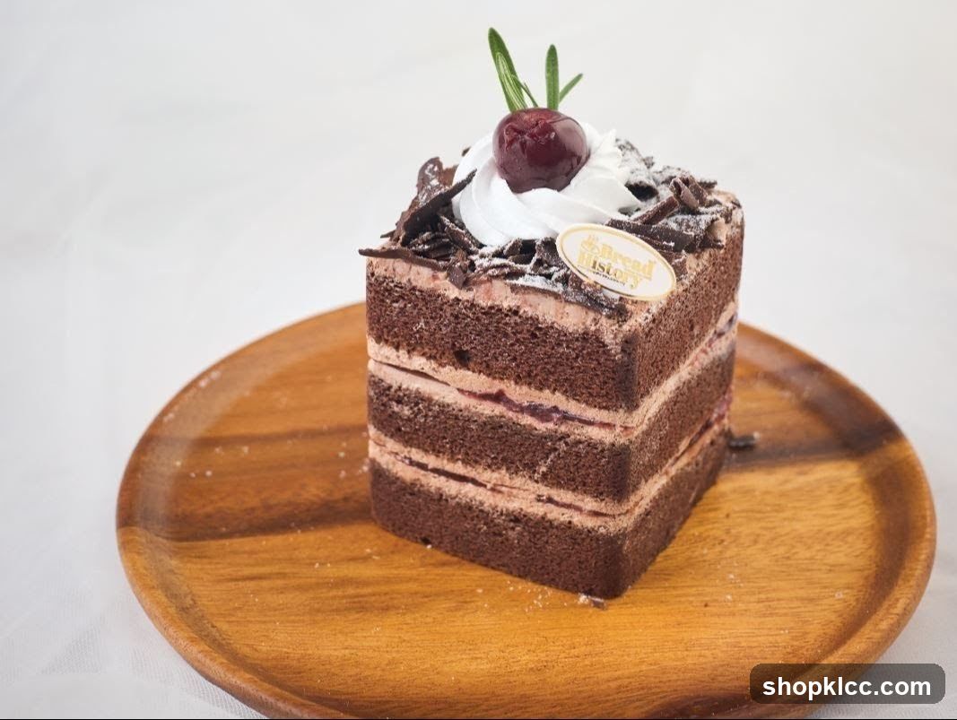 Chocolate Cake Slice