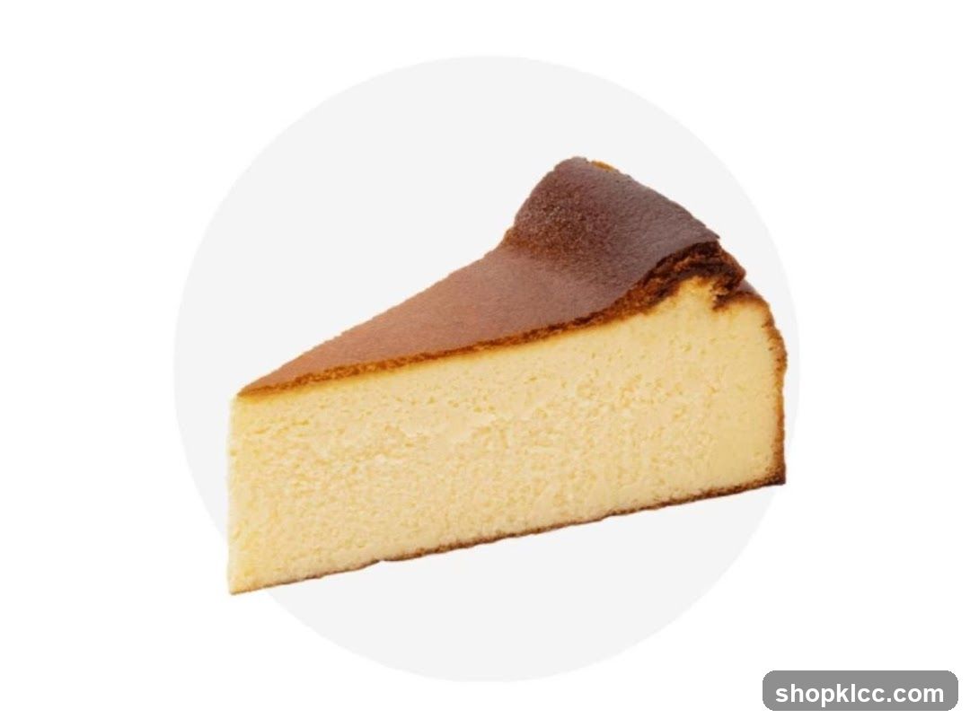 Slice of Burnt Basque Cheesecake