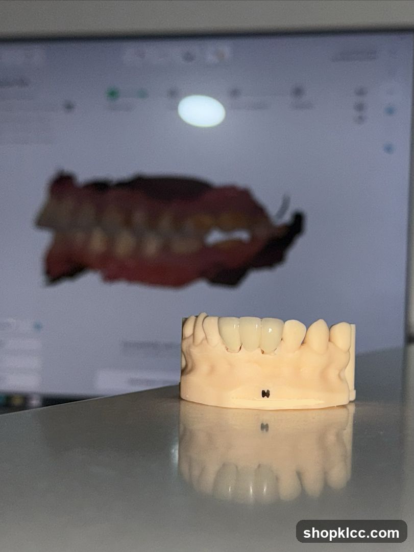 Dental Model and Scan