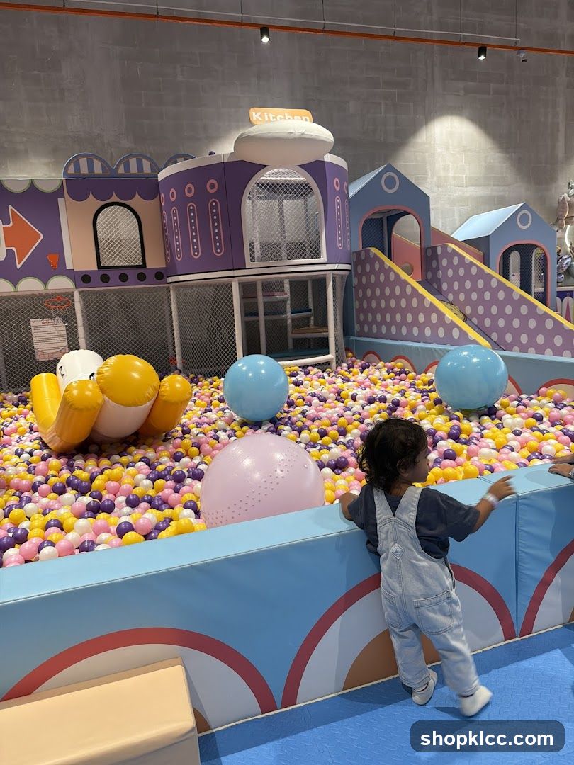 Indoor Playground