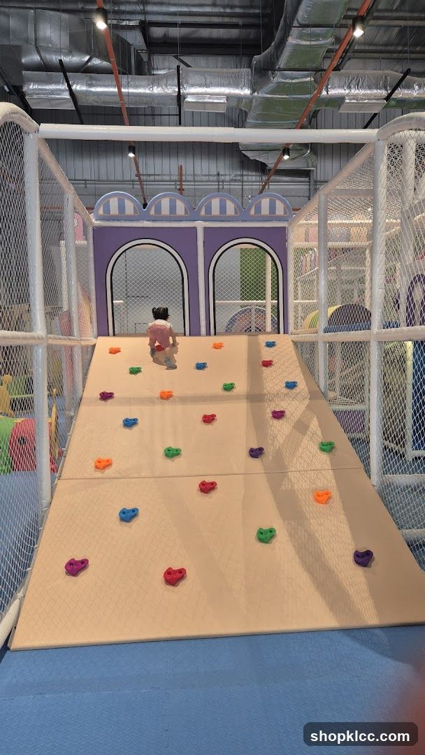Indoor Playground Climbing Wall
