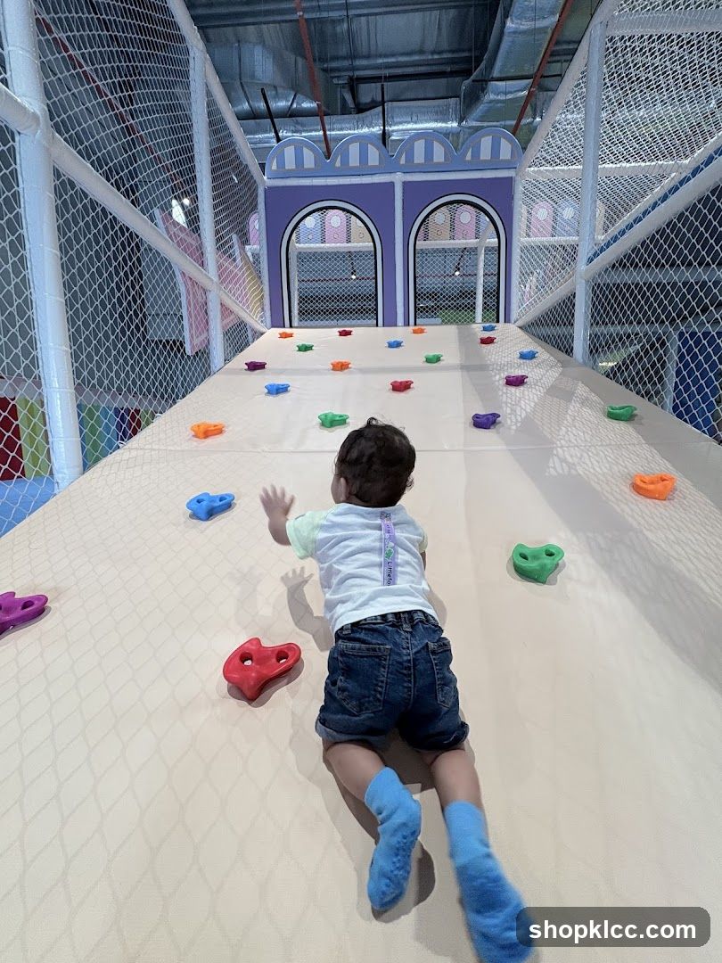Indoor Climbing Wall