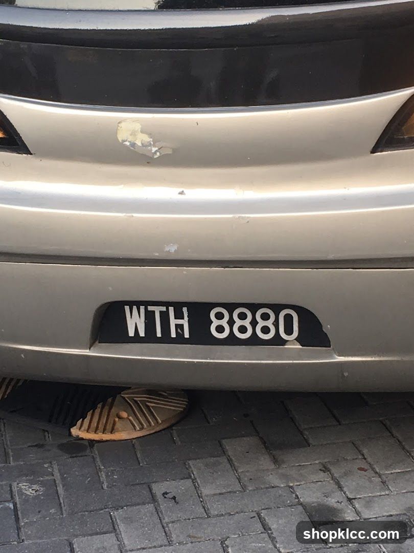 License Plate and Sandal