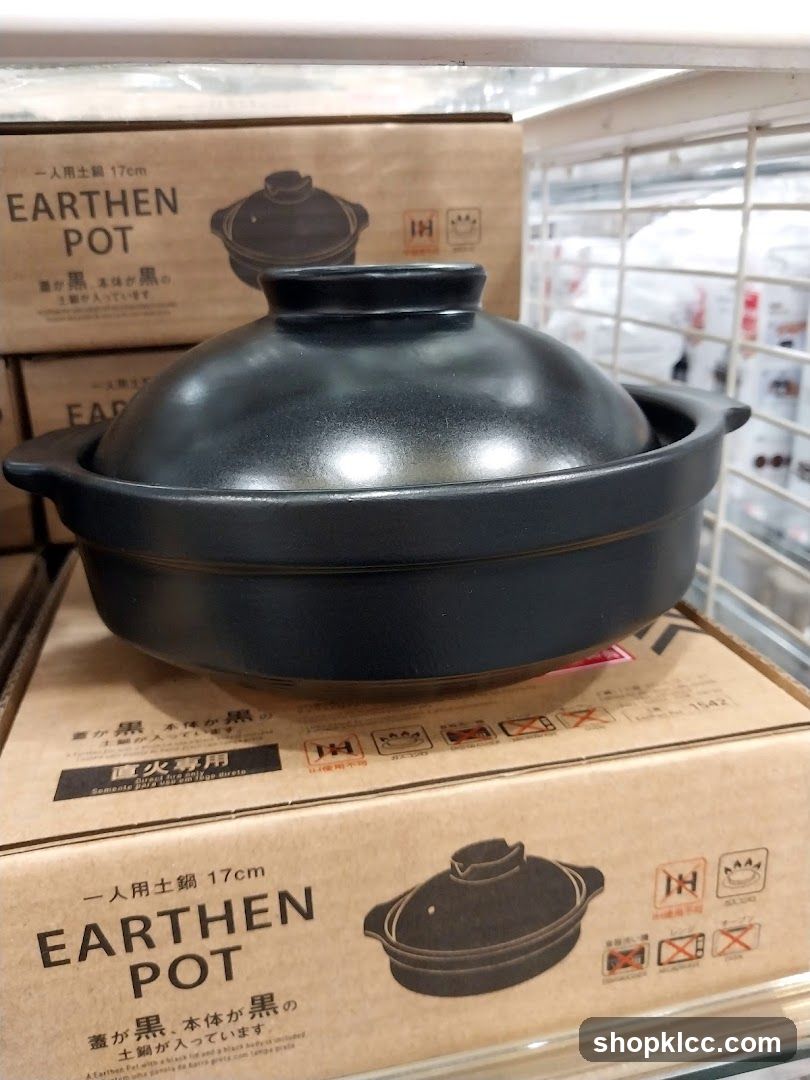 Earthen Pot