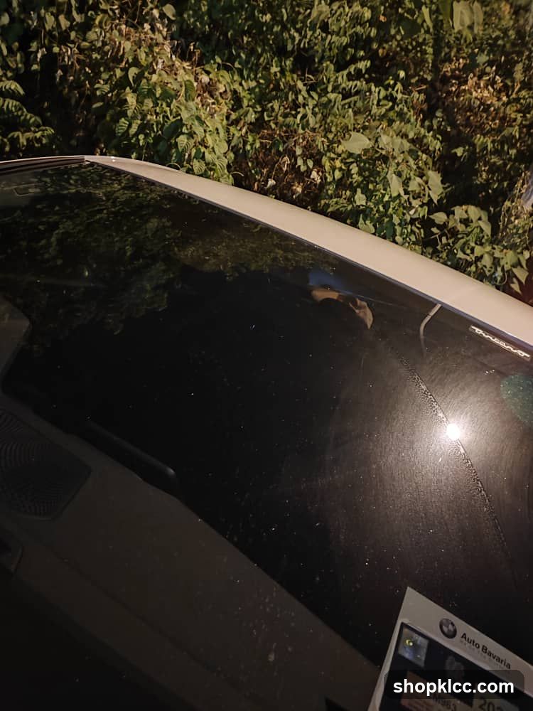 Car Windshield with Sticker