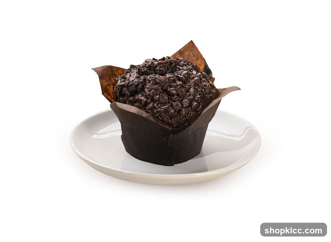 Chocolate Chip Muffin