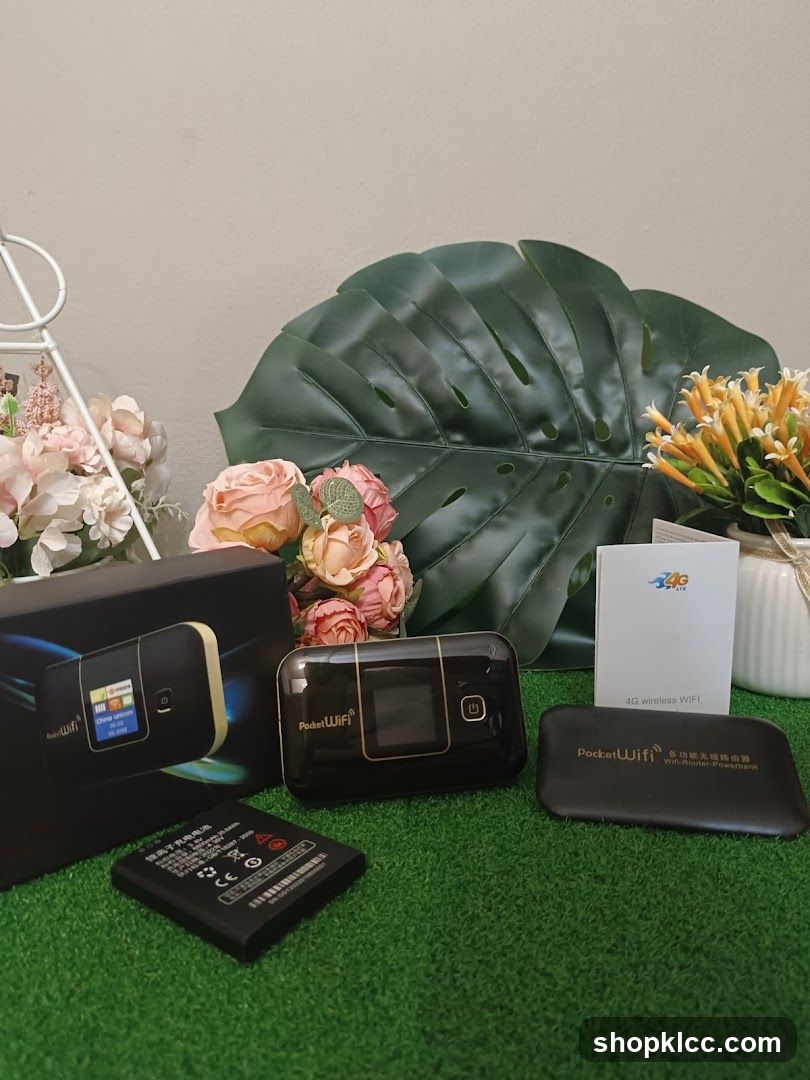 Pocket WiFi Devices and Accessories