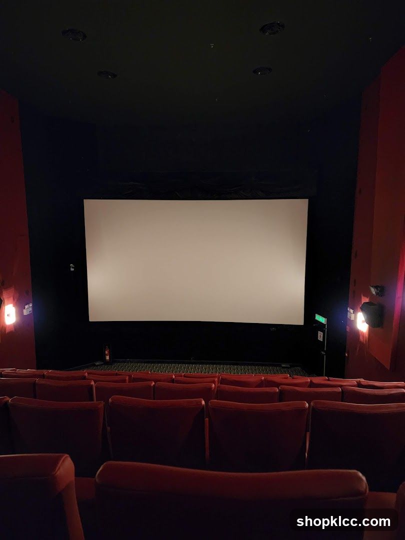 Empty Cinema Auditorium