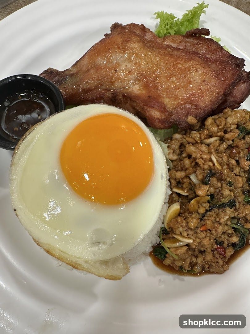 Fried Chicken with Rice and Egg