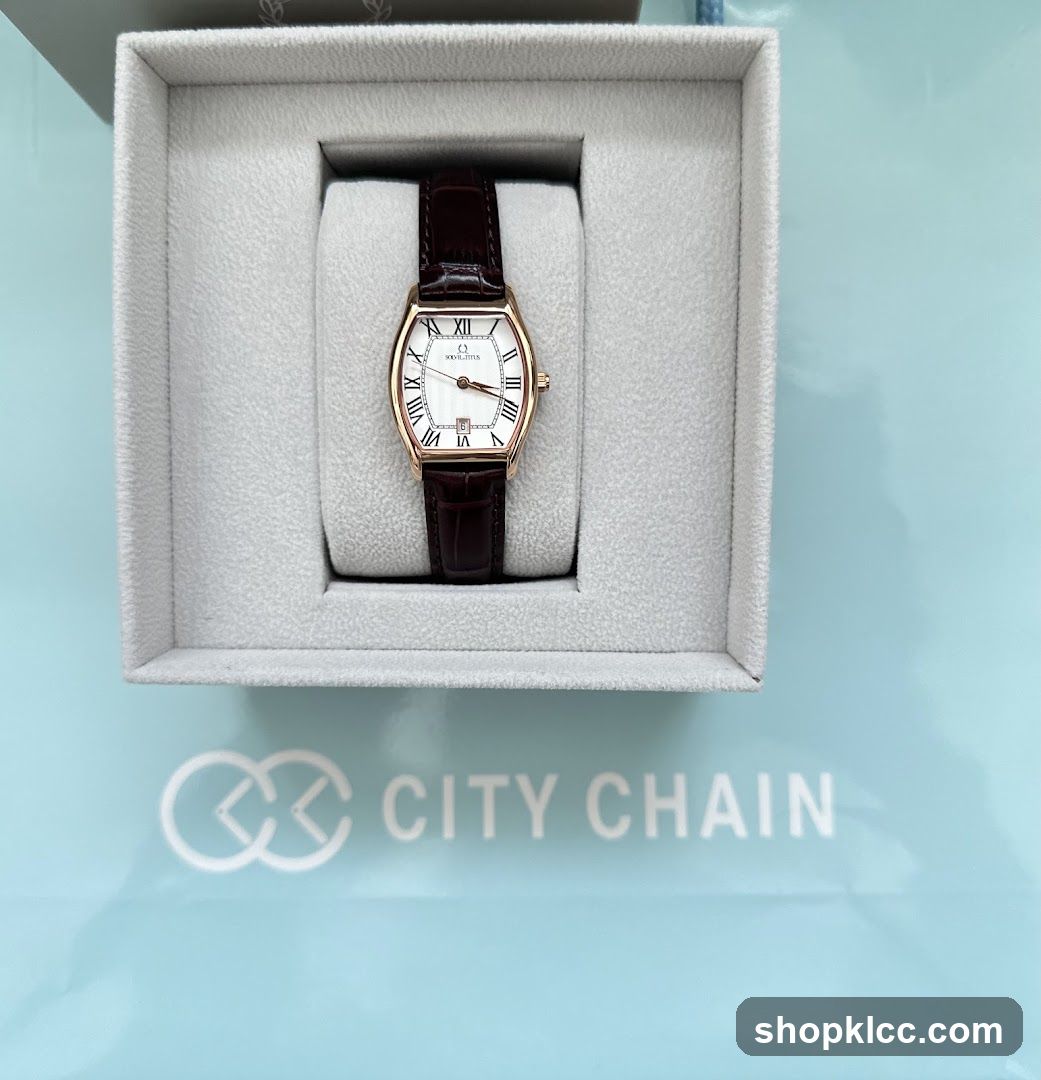 Watch in a box