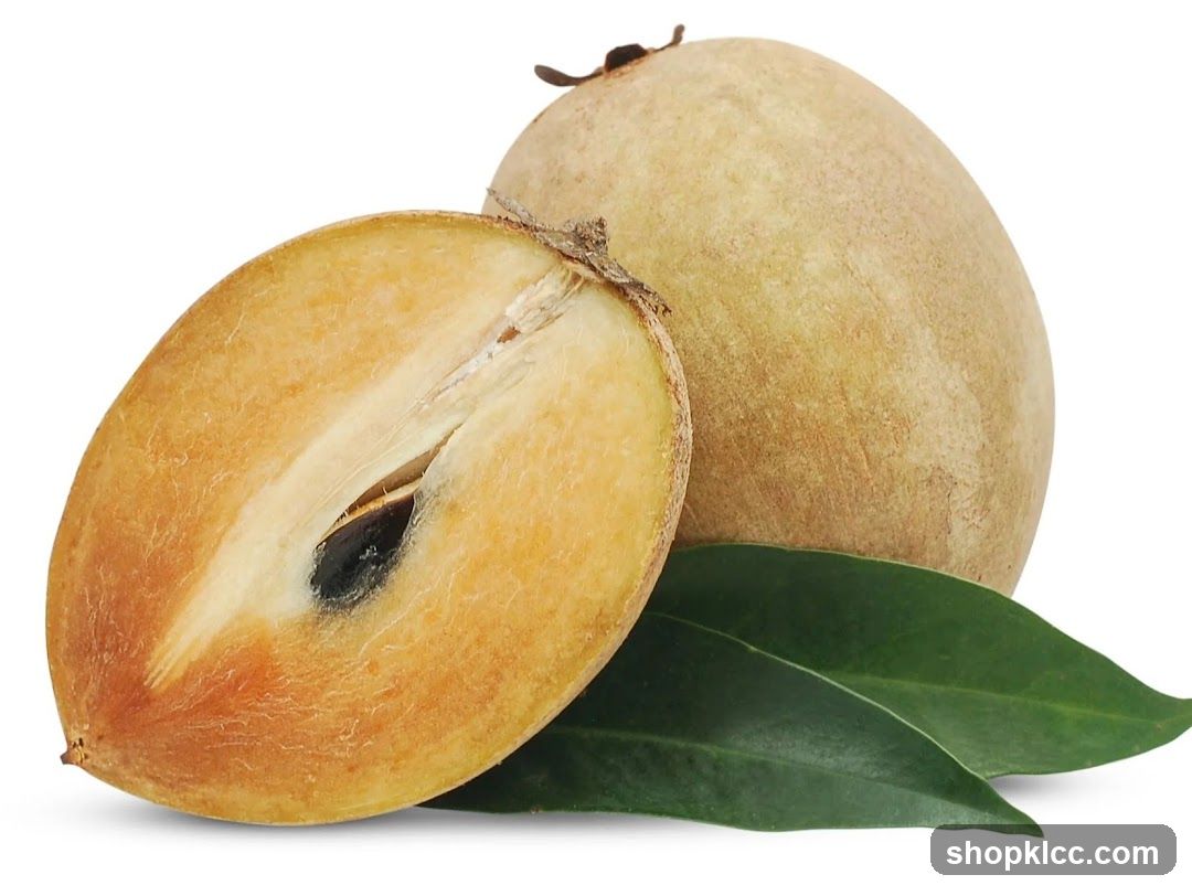 Sapodilla Fruit