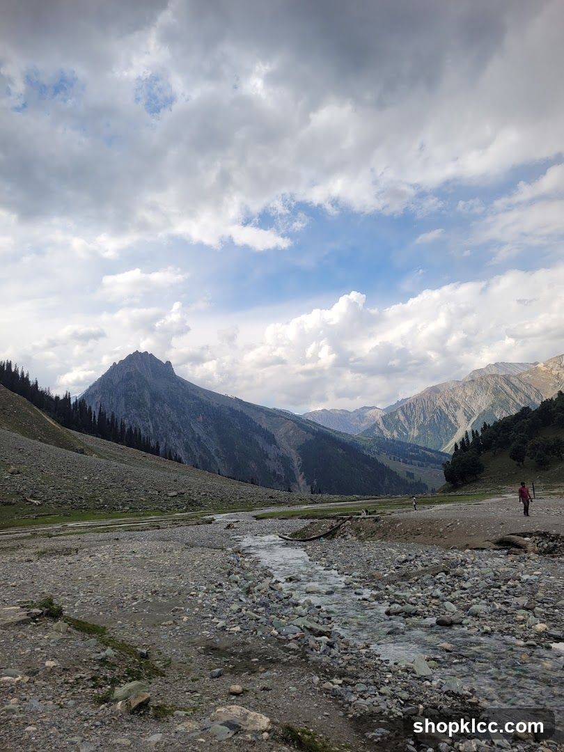 Mountain Landscape with Stream