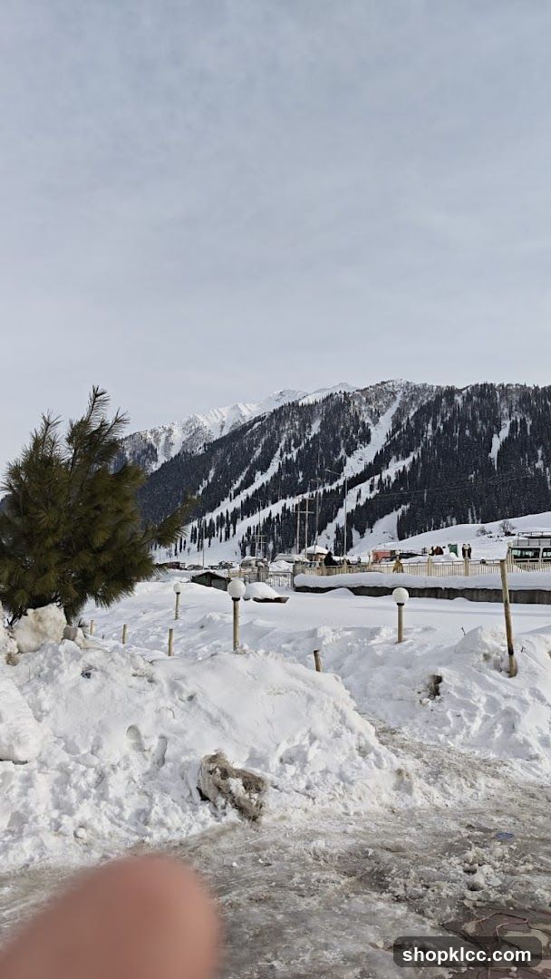Snowy Mountain Landscape with Trees and Buildings