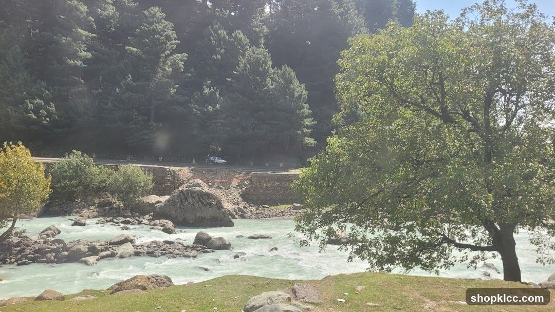 River and Forest Landscape