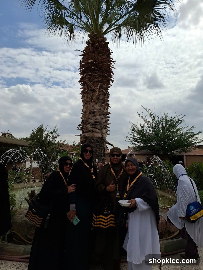 Group of women posing under a palm tree