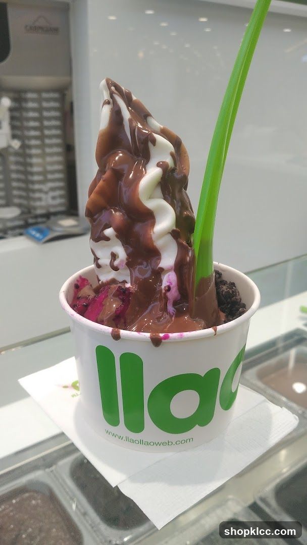 Frozen Yogurt with Chocolate Drizzle