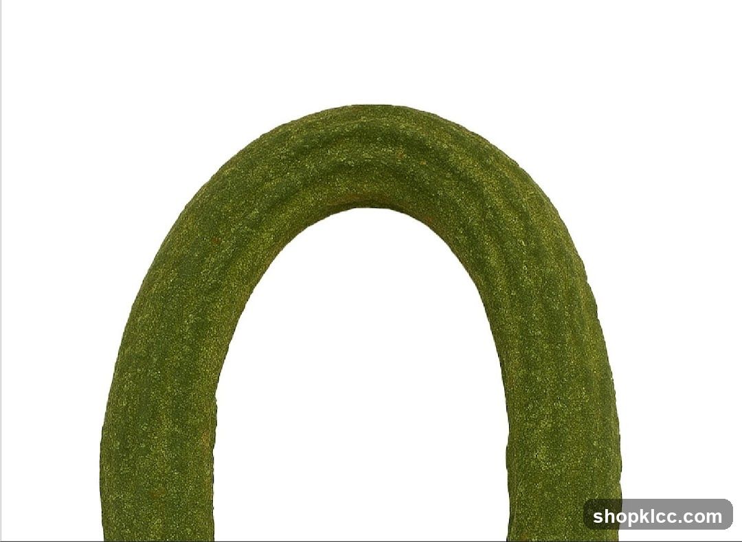 Green Archway