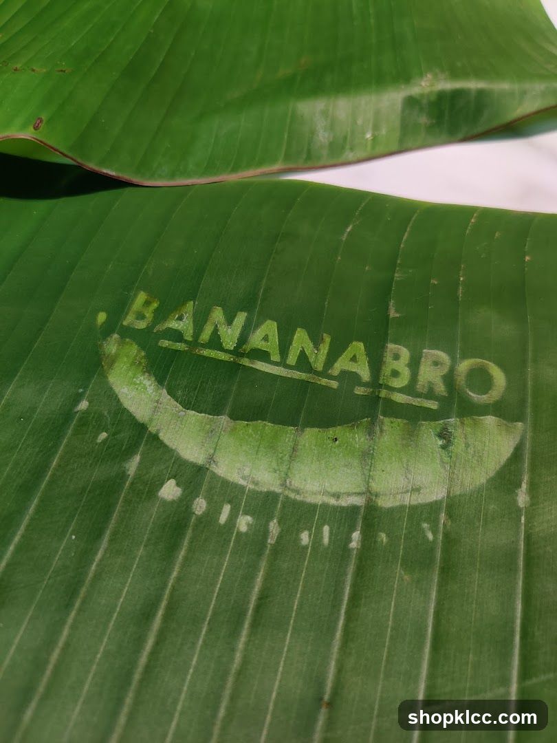 Banana Bro Logo on Banana Leaf