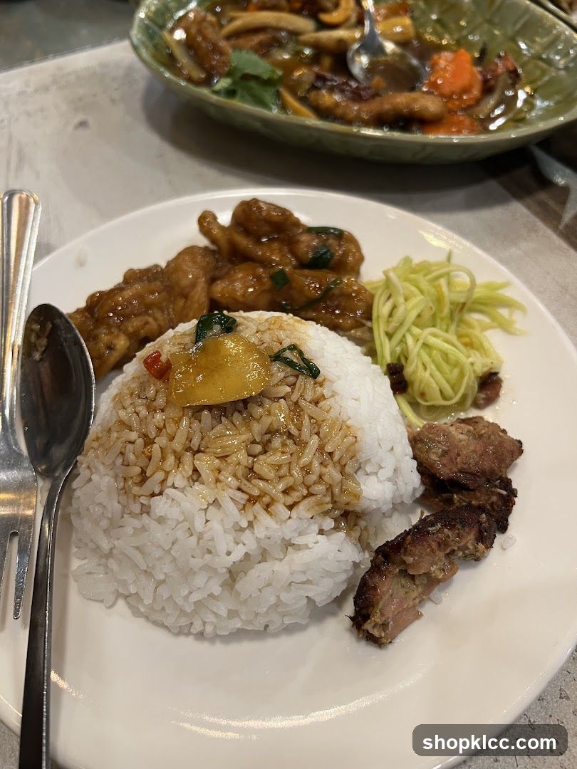 Plate of food with rice and meat
