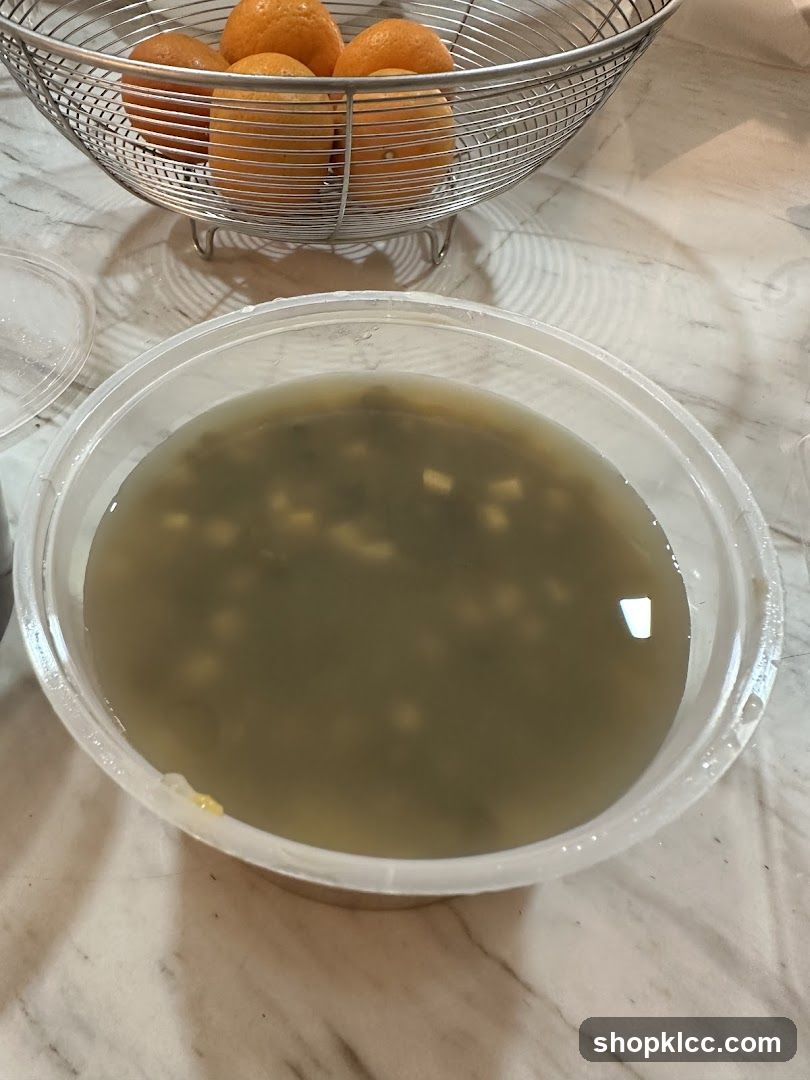 Soup and Oranges