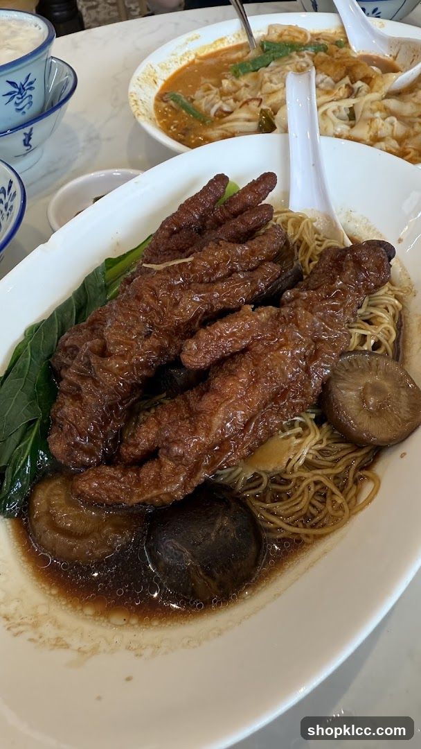 Braised Chicken Feet Noodles