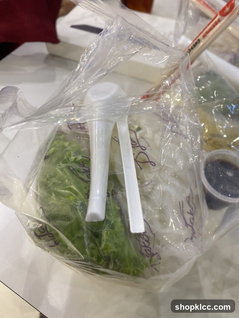 Takeaway Food Bag