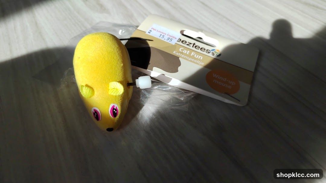 Wind-up Mouse Toy