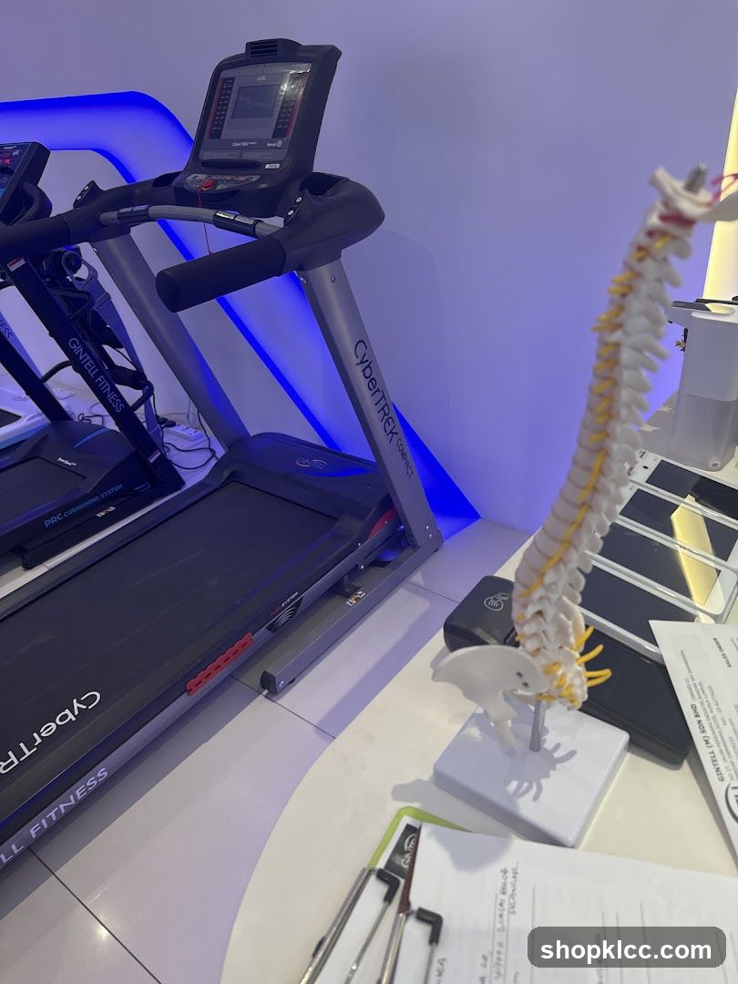 Treadmills and Anatomical Model
