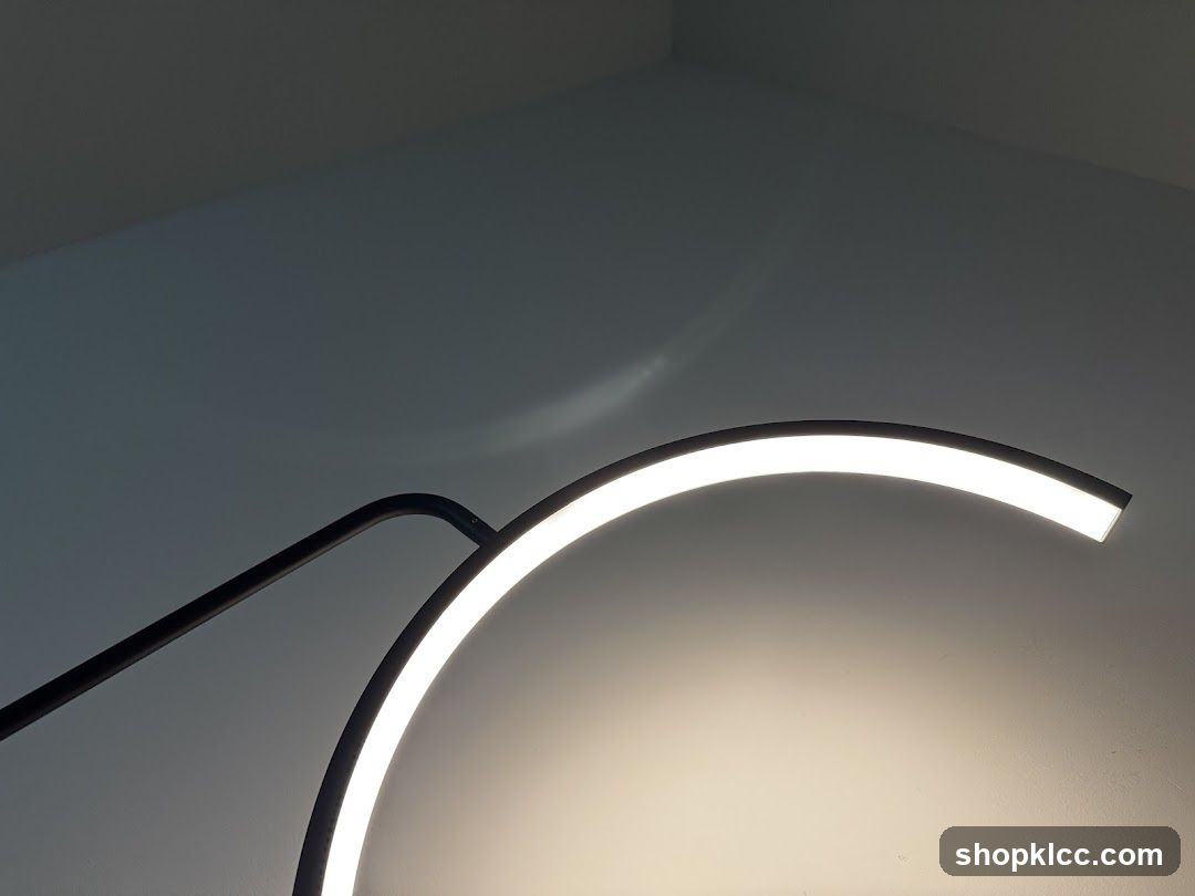 Modern Lamp with Curved Light