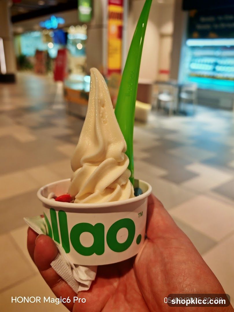 Frozen Yogurt Cup