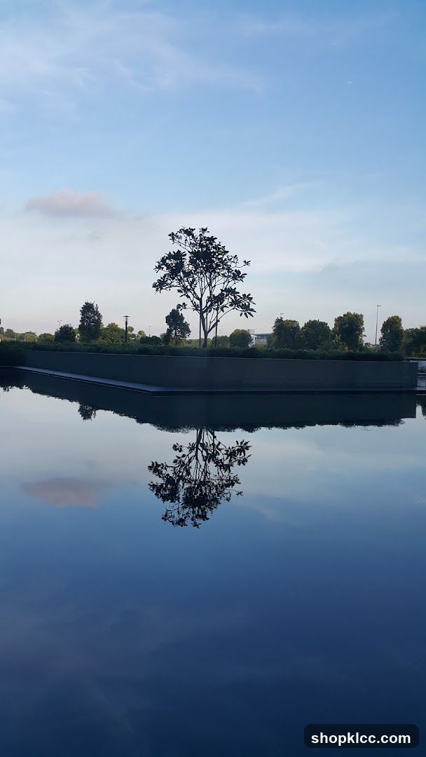 Tree reflected in water